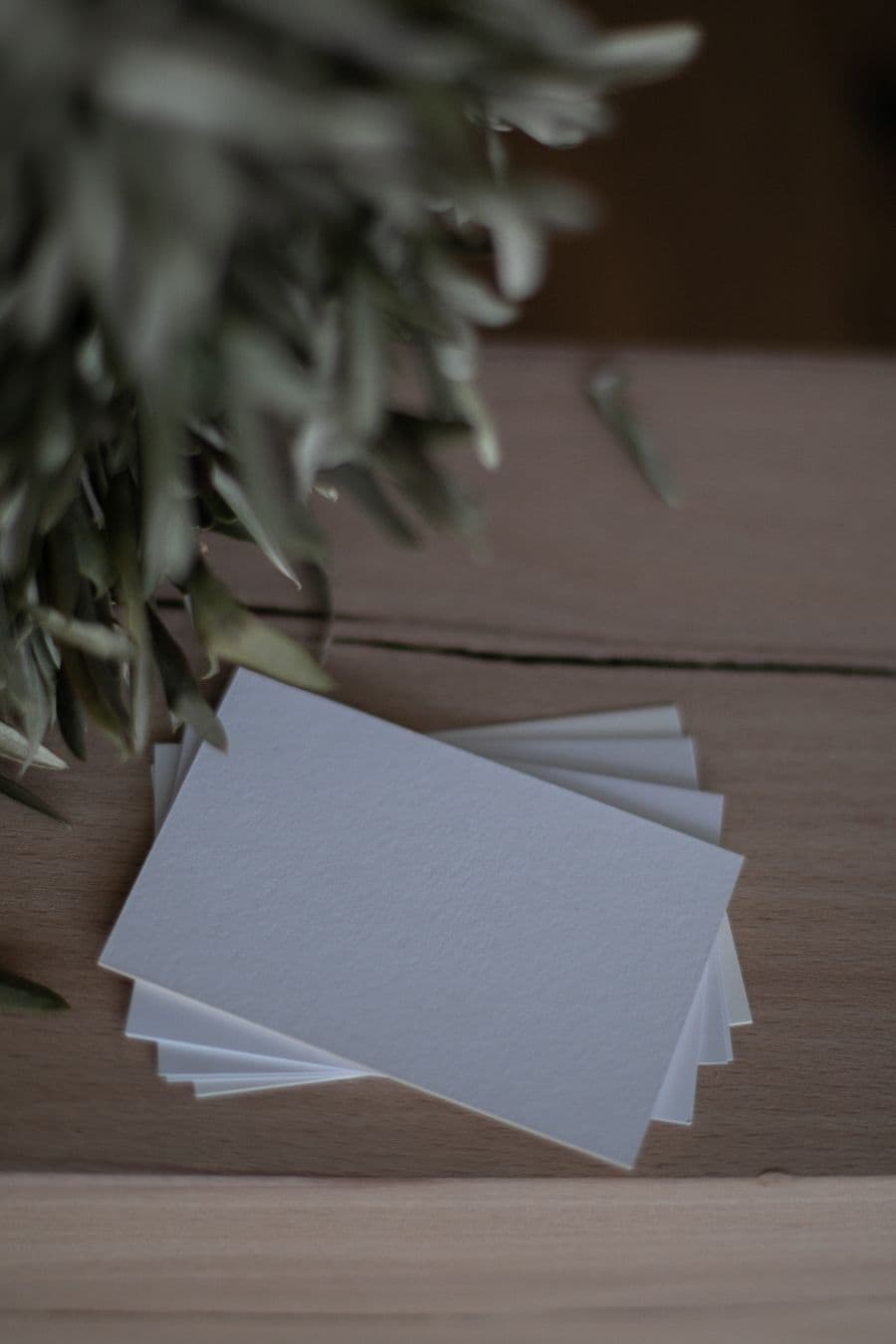Regular Business Cards